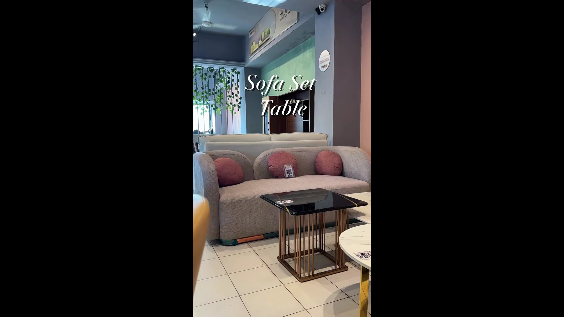 Zed Media Dream Decor Reel
